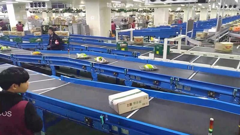 LG CNS 스마트물류 설비(Cross Belt Sorter)